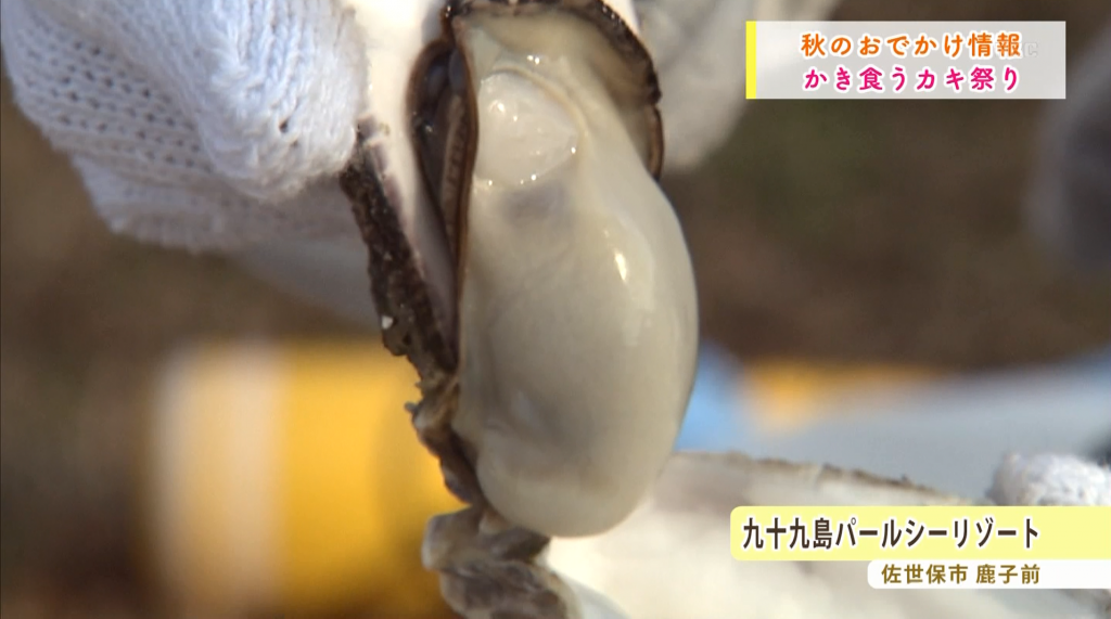 秋のおでかけ情報 カキ食うカキ祭りと森きらら